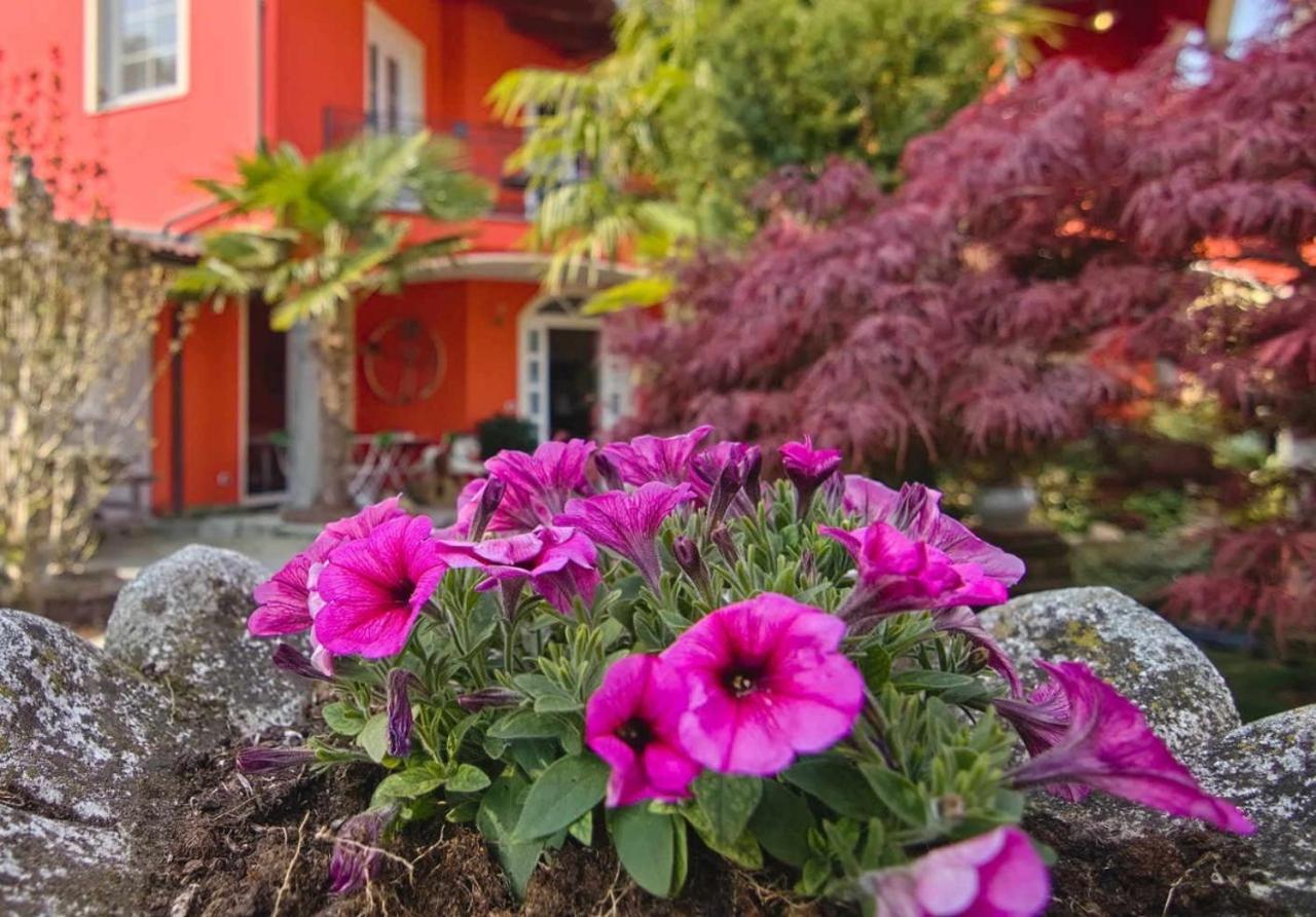 B&B Villa Botto Cossato Esterno foto